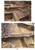 Cronica Cercetărilor Arheologice din România, Campania 2001. Raportul nr. 188