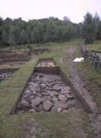 Cronica Cercetărilor Arheologice din România, Campania 2001. Raportul nr. 189