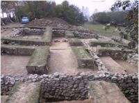 Cronica Cercetărilor Arheologice din România, Campania 2001. Raportul nr. 189