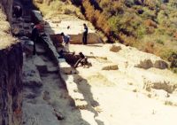 Cronica Cercetărilor Arheologice din România, Campania 2001. Raportul nr. 194