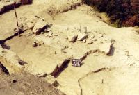 Cronica Cercetărilor Arheologice din România, Campania 2001. Raportul nr. 194
