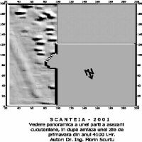 Cronica Cercetărilor Arheologice din România, Campania 2001. Raportul nr. 201