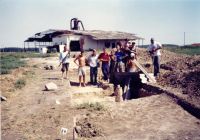 Cronica Cercetărilor Arheologice din România, Campania 2001. Raportul nr. 211