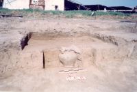 Cronica Cercetărilor Arheologice din România, Campania 2001. Raportul nr. 211