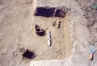 Cronica Cercetărilor Arheologice din România, Campania 2001. Raportul nr. 211