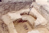 Cronica Cercetărilor Arheologice din România, Campania 2001. Raportul nr. 211