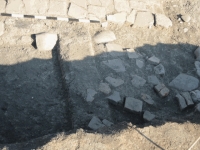 Cronica Cercetărilor Arheologice din România, Campania 2001. Raportul nr. 220