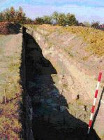 Cronica Cercetărilor Arheologice din România, Campania 2001. Raportul nr. 220
