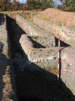 Cronica Cercetărilor Arheologice din România, Campania 2001. Raportul nr. 220