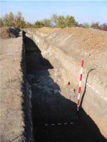 Cronica Cercetărilor Arheologice din România, Campania 2001. Raportul nr. 220
