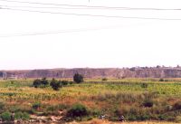 Cronica Cercetărilor Arheologice din România, Campania 2001. Raportul nr. 248