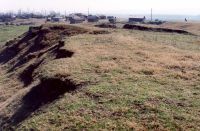 Cronica Cercetărilor Arheologice din România, Campania 2001. Raportul nr. 248