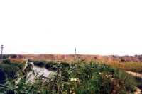 Cronica Cercetărilor Arheologice din România, Campania 2001. Raportul nr. 248