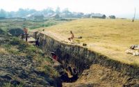Cronica Cercetărilor Arheologice din România, Campania 2001. Raportul nr. 248