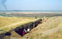 Cronica Cercetărilor Arheologice din România, Campania 2001. Raportul nr. 248