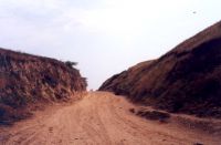 Cronica Cercetărilor Arheologice din România, Campania 2001. Raportul nr. 248