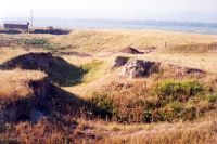 Cronica Cercetărilor Arheologice din România, Campania 2001. Raportul nr. 248