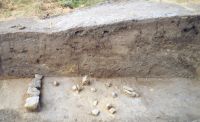 Cronica Cercetărilor Arheologice din România, Campania 2001. Raportul nr. 248