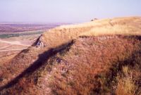 Cronica Cercetărilor Arheologice din România, Campania 2001. Raportul nr. 248