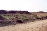 Cronica Cercetărilor Arheologice din România, Campania 2001. Raportul nr. 248