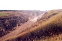 Cronica Cercetărilor Arheologice din România, Campania 2001. Raportul nr. 248