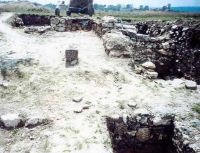 Cronica Cercetărilor Arheologice din România, Campania 2002. Raportul nr. 5