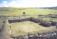 Cronica Cercetărilor Arheologice din România, Campania 2002. Raportul nr. 5