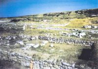 Cronica Cercetărilor Arheologice din România, Campania 2002. Raportul nr. 5