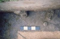 Cronica Cercetărilor Arheologice din România, Campania 2002. Raportul nr. 6.<br /> Sectorul movila-T6.