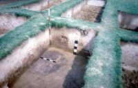 Cronica Cercetărilor Arheologice din România, Campania 2002. Raportul nr. 6.<br /> Sectorul movilaT3.