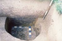 Cronica Cercetărilor Arheologice din România, Campania 2002. Raportul nr. 6.<br /> Sectorul movilaT3.