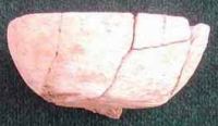 Cronica Cercetărilor Arheologice din România, Campania 2002. Raportul nr. 6.<br /> Sectorul movilaT3.