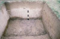 Cronica Cercetărilor Arheologice din România, Campania 2002. Raportul nr. 6.<br /> Sectorul movilaT4.