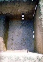 Cronica Cercetărilor Arheologice din România, Campania 2002. Raportul nr. 6.<br /> Sectorul movilaT4.