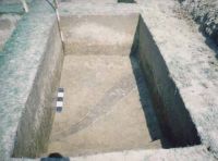 Cronica Cercetărilor Arheologice din România, Campania 2002. Raportul nr. 6.<br /> Sectorul movilaT5.