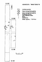 Cronica Cercetărilor Arheologice din România, Campania 2002. Raportul nr. 6