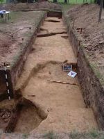 Cronica Cercetărilor Arheologice din România, Campania 2002. Raportul nr. 9