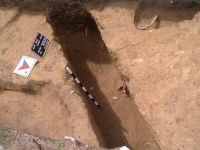 Cronica Cercetărilor Arheologice din România, Campania 2002. Raportul nr. 9