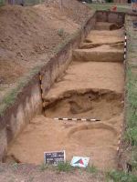 Cronica Cercetărilor Arheologice din România, Campania 2002. Raportul nr. 9