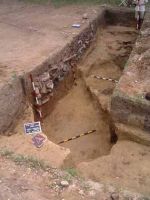 Cronica Cercetărilor Arheologice din România, Campania 2002. Raportul nr. 9