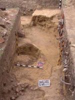 Cronica Cercetărilor Arheologice din România, Campania 2002. Raportul nr. 9