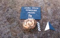 Cronica Cercetărilor Arheologice din România, Campania 2002. Raportul nr. 11