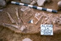 Cronica Cercetărilor Arheologice din România, Campania 2002. Raportul nr. 15