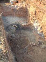 Cronica Cercetărilor Arheologice din România, Campania 2002. Raportul nr. 24