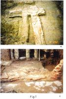 Cronica Cercetărilor Arheologice din România, Campania 2002. Raportul nr. 37
