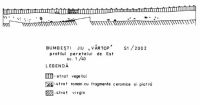 Cronica Cercetărilor Arheologice din România, Campania 2002. Raportul nr. 41
