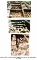 Cronica Cercetărilor Arheologice din România, Campania 2002. Raportul nr. 41