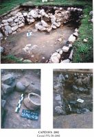 Cronica Cercetărilor Arheologice din România, Campania 2002. Raportul nr. 42