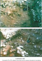 Cronica Cercetărilor Arheologice din România, Campania 2002. Raportul nr. 42