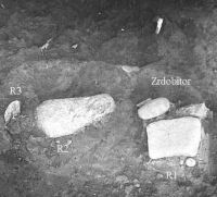 Cronica Cercetărilor Arheologice din România, Campania 2002. Raportul nr. 43